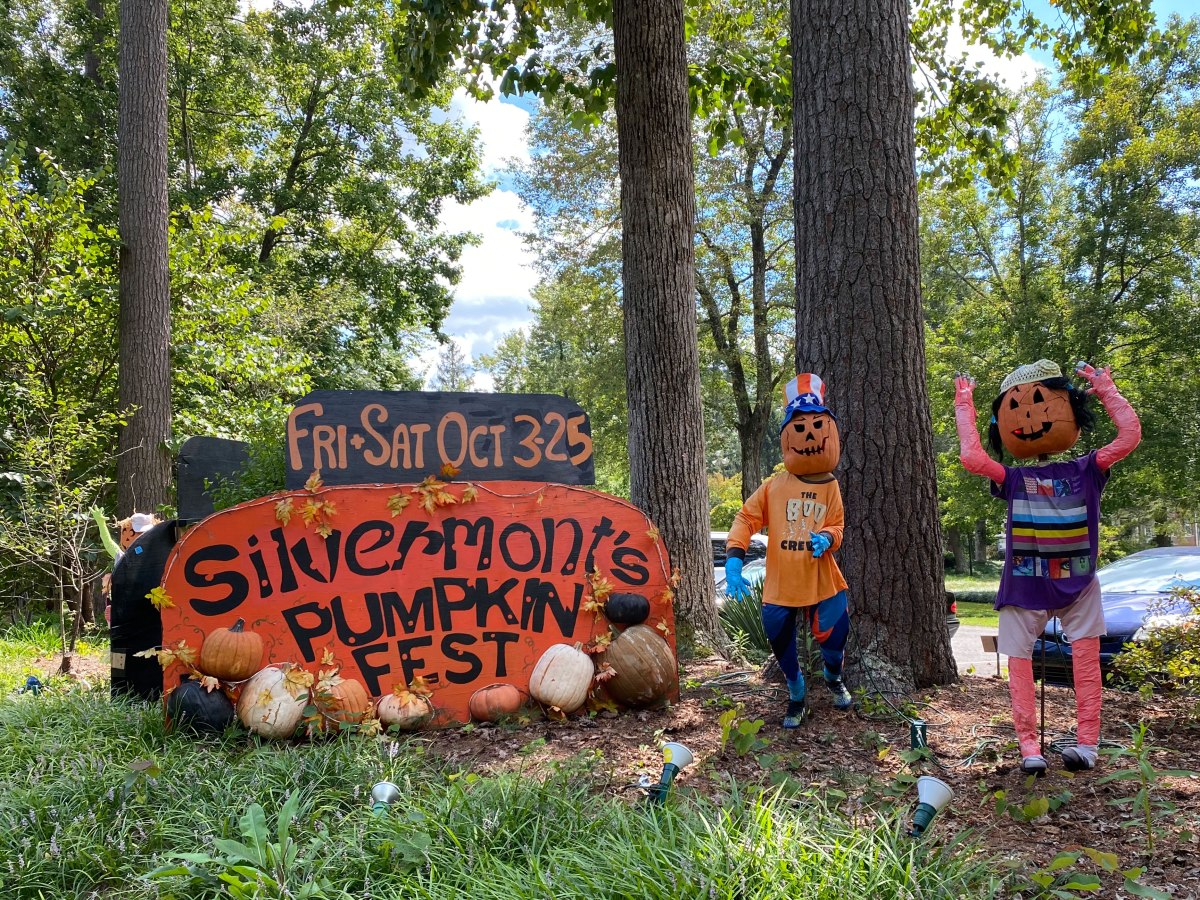 And so it&nbsp;begins…