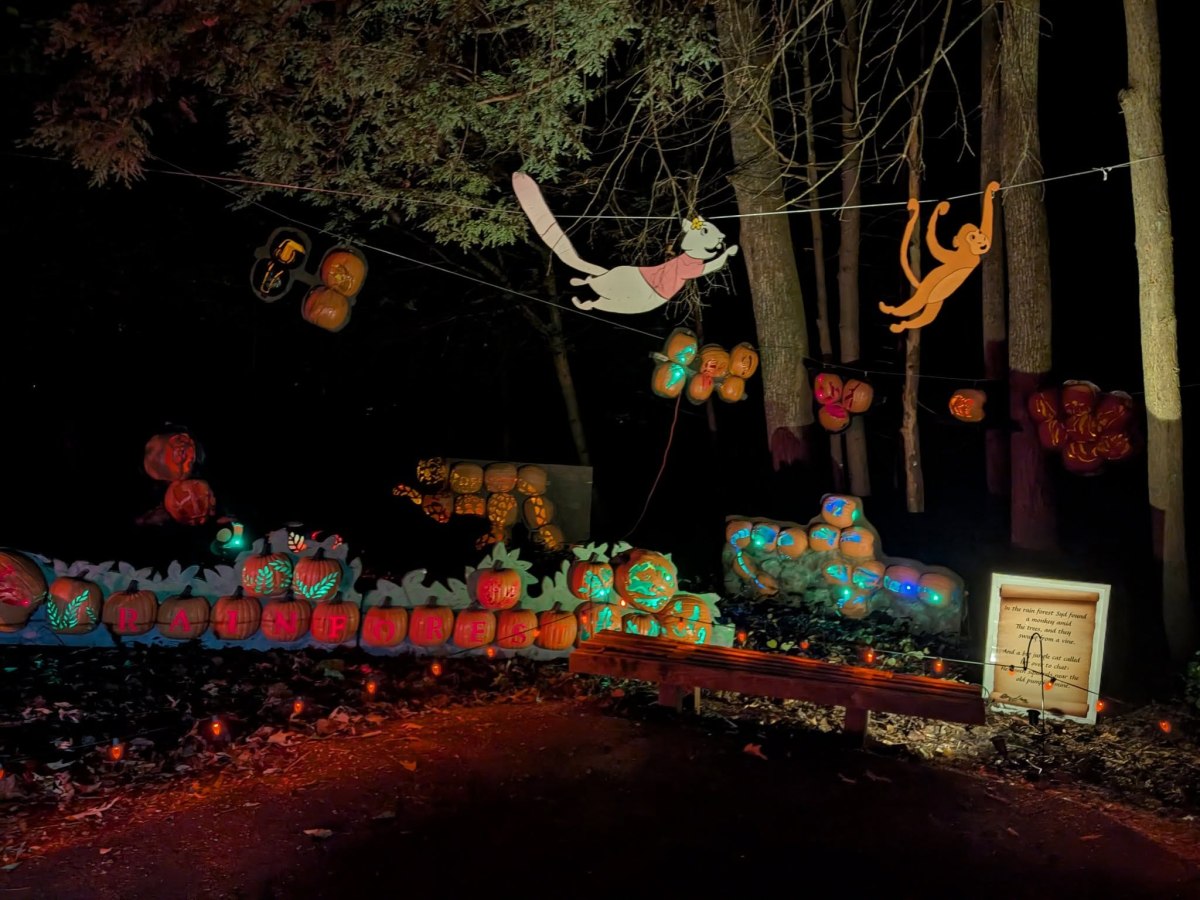 Scenes from opening&nbsp;night